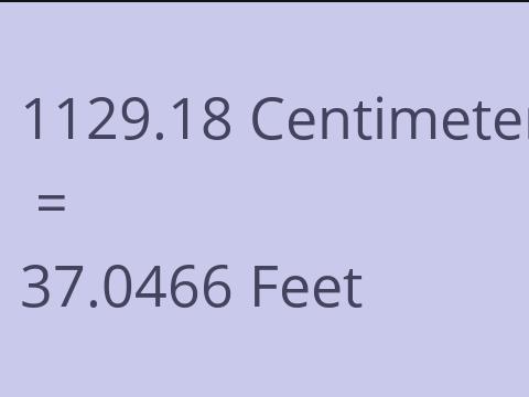 1129.18 CM TO FEET