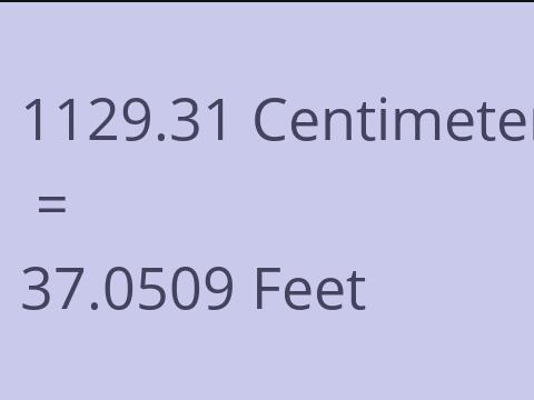 1129.31 CM TO FEET