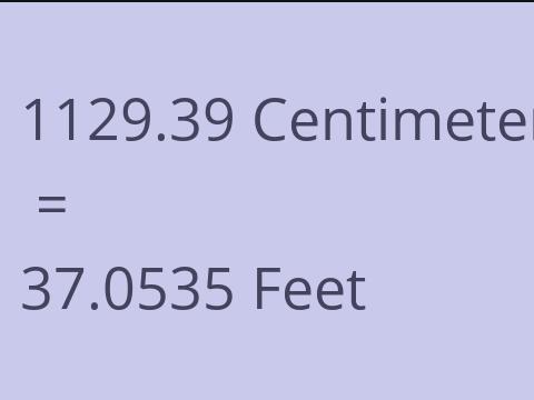 1129.39 CM TO FEET