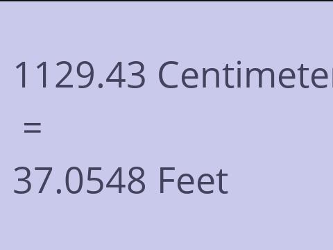 1129.43 CM TO FEET