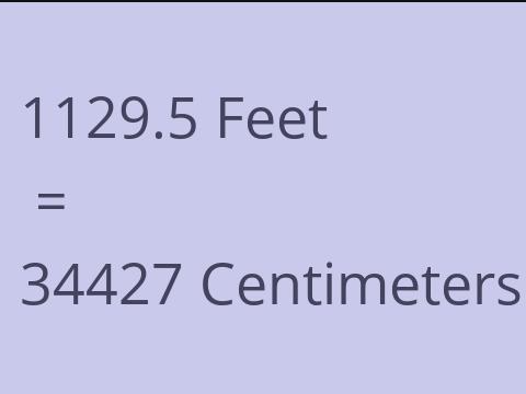 1129.5 FEET TO CM