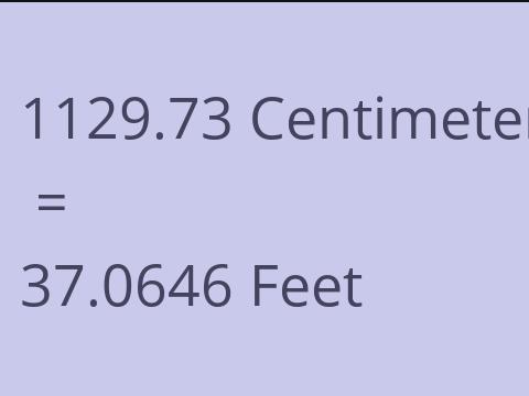 1129.73 CM TO FEET