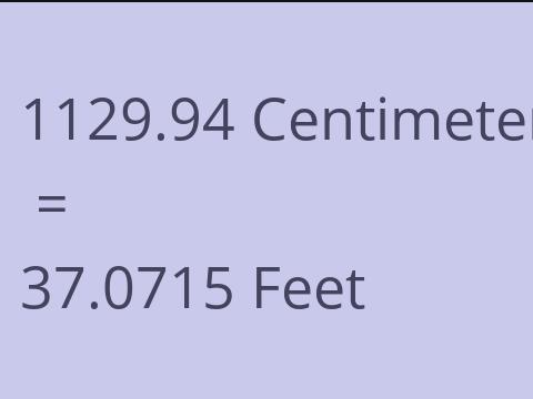 1129.94 CM TO FEET