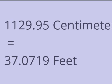 1129.95 CM TO FEET