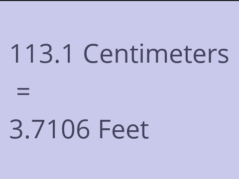 113.1 CM TO FEET