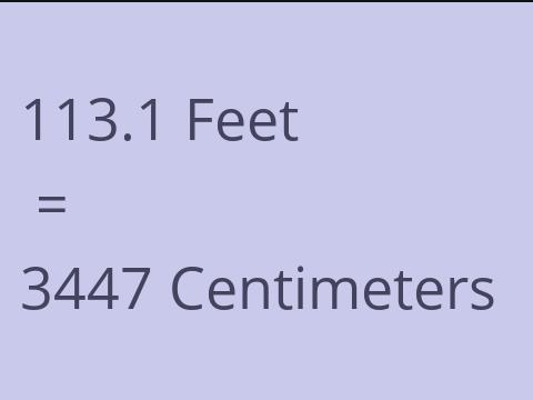 113.1 FEET TO CM