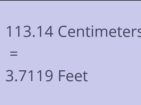 113.14 CM TO FEET