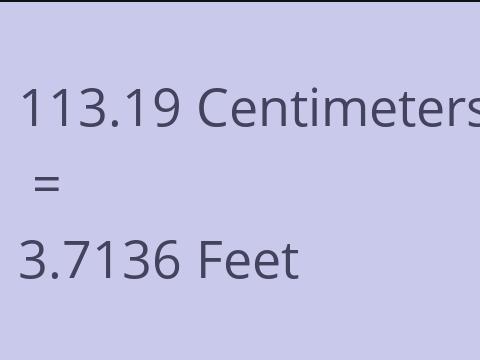 113.19 CM TO FEET