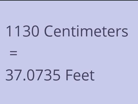 1130 CM TO FEET