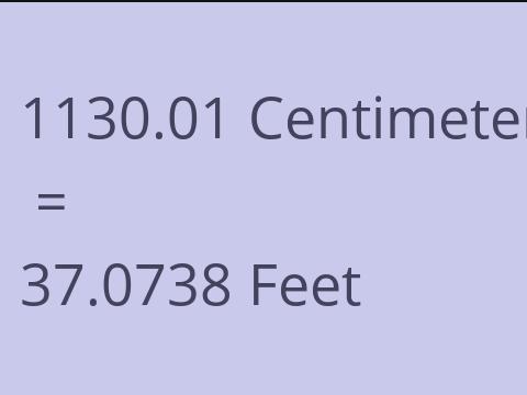 1130.01 CM TO FEET