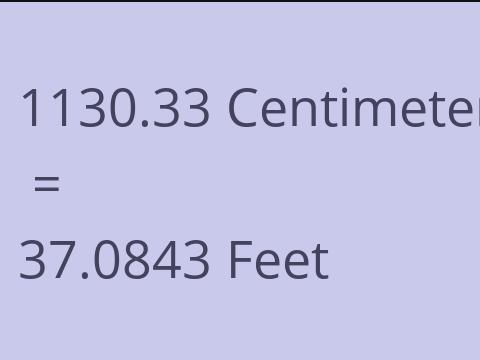 1130.33 CM TO FEET