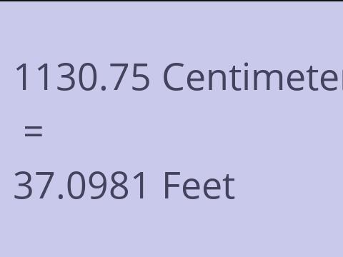 1130.75 CM TO FEET