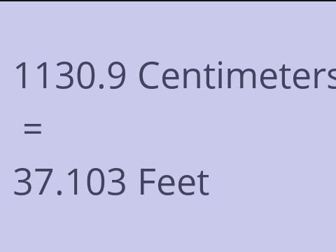 1130.9 CM TO FEET