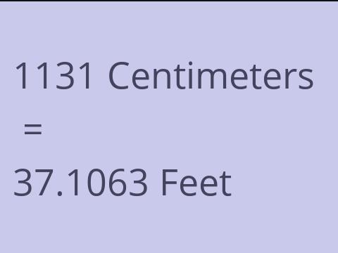 1131 CM TO FEET