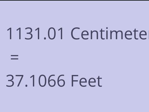 1131.01 CM TO FEET