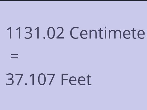 1131.02 CM TO FEET