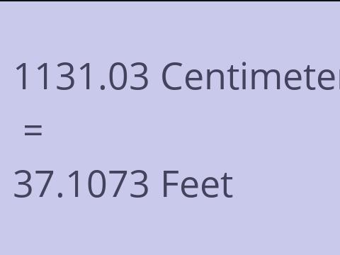 1131.03 CM TO FEET