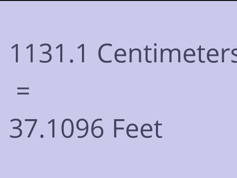 1131.1 CM TO FEET