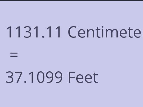 1131.11 CM TO FEET