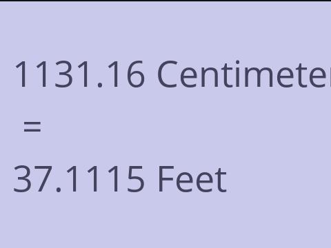 1131.16 CM TO FEET