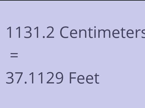 1131.2 CM TO FEET