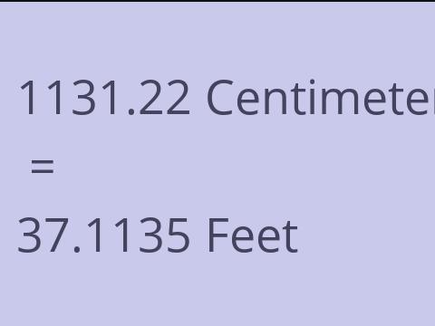 1131.22 CM TO FEET