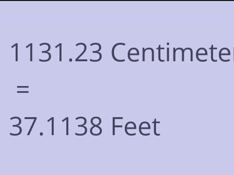 1131.23 CM TO FEET