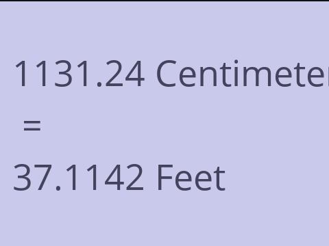 1131.24 CM TO FEET