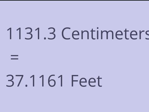 1131.3 CM TO FEET