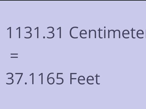 1131.31 CM TO FEET