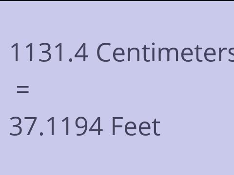 1131.4 CM TO FEET