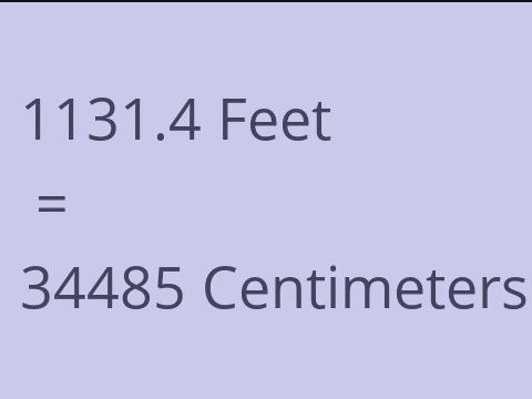 1131.4 FEET TO CM