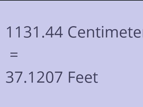 1131.44 CM TO FEET