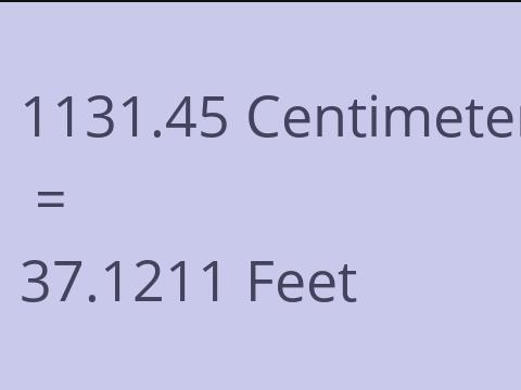 1131.45 CM TO FEET