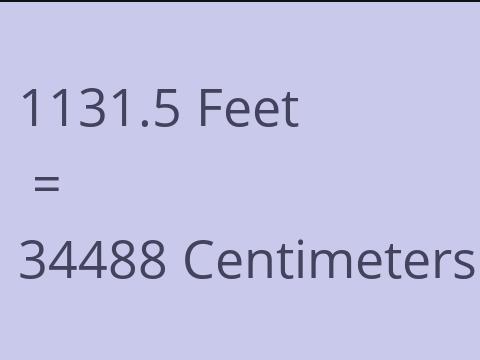 1131.5 FEET TO CM