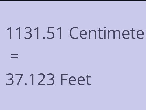 1131.51 CM TO FEET