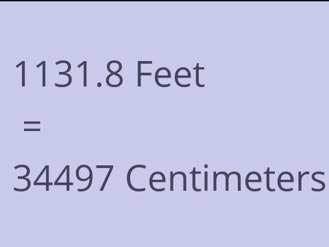 1131.8 FEET TO CM