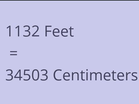 1132 FEET TO CM