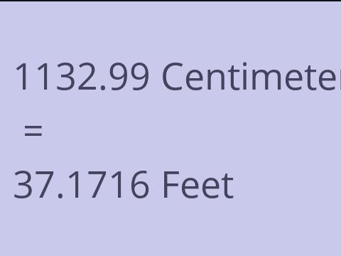 1132.99 CM TO FEET