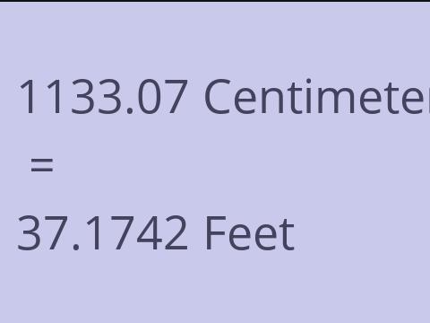 1133.07 CM TO FEET