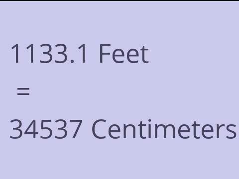 1133.1 FEET TO CM