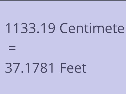 1133.19 CM TO FEET