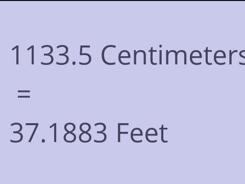 1133.5 CM TO FEET