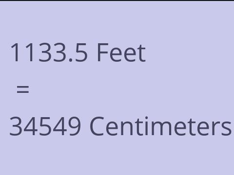 1133.5 FEET TO CM