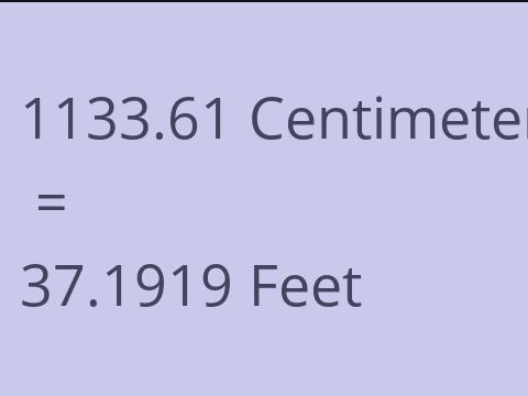 1133.61 CM TO FEET