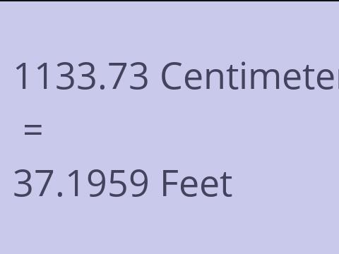 1133.73 CM TO FEET