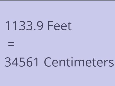 1133.9 FEET TO CM