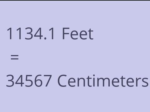 1134.1 FEET TO CM