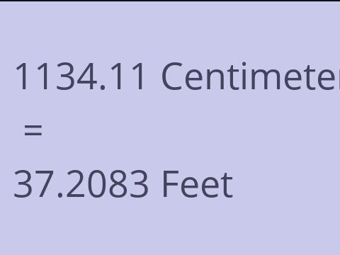 1134.11 CM TO FEET