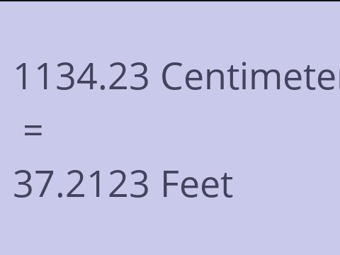 1134.23 CM TO FEET